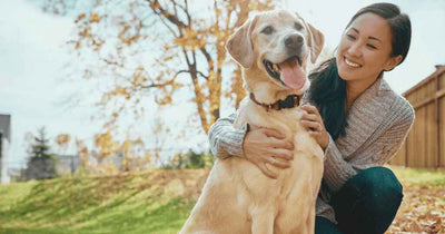 An Asian women in a wool sweater hugging a Labrador Retriever dog in their backyard in Autumn.