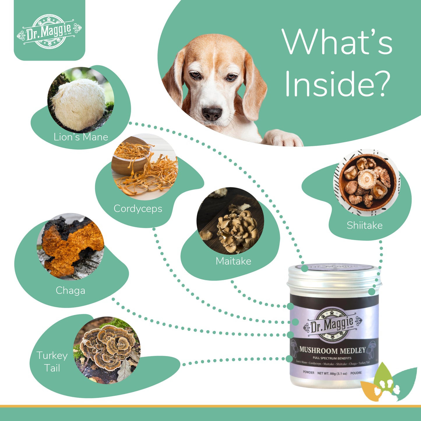 Dr. Maggie Mushroom Medley infographic showing the six mushrooms in the blend: Lion’s Mane, Cordyceps, Maitake, Shiitake, Chaga, and Turkey Tail with labeled images leading to the product jar.
