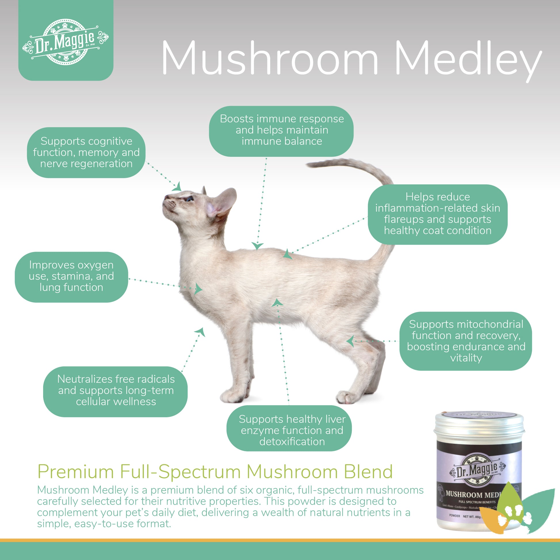 Dr. Maggie Mushroom Medley graphic with a cat illustration and arrows pointing to benefits like cognitive function, immune balance, skin support, lung function, stamina, liver detox, and cellular health.