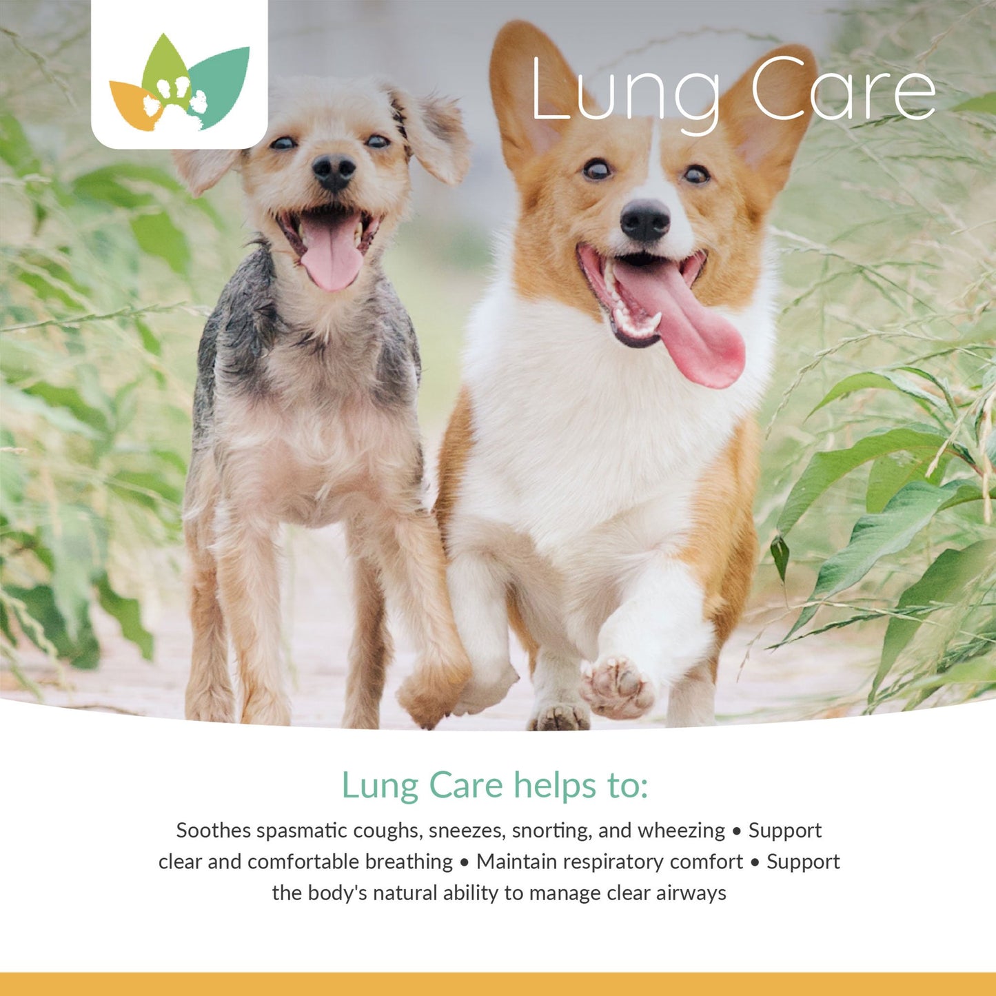 Arrowleaf Pet Lung Care Product Info 2
