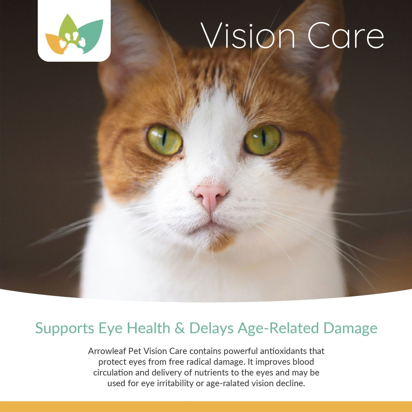 Arrowleaf Pet Vision Care Product Info