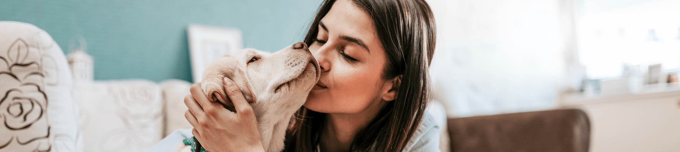 Dog Lover - Natural Pet Care