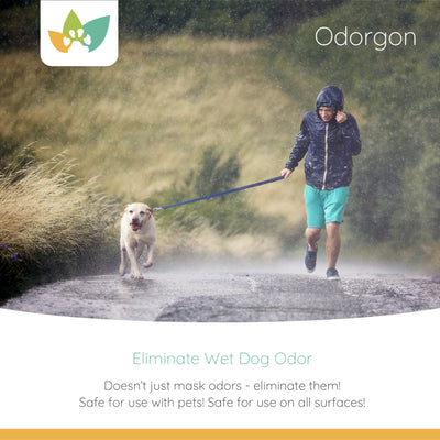 Odorgon | Pet Odor Eliminator | Litter Box Odor | Wet Dog Smell | Cat Urine Spray Odor | Safe On All Surfaces | 2 Sizes