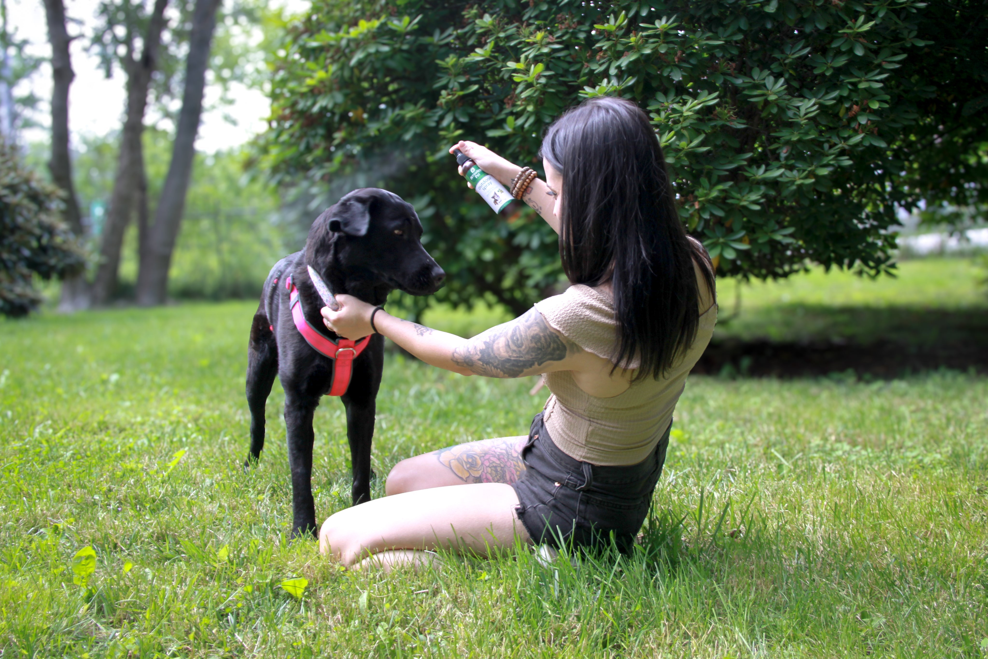 Flea-Free & Thriving: The Ultimate Guide to Natural Prevention and Care for Your Pet