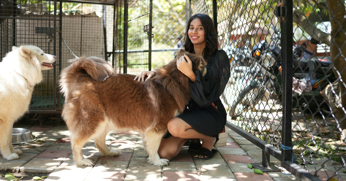 Understanding Kennel Cough: Causes, Symptoms, and Natural Relief Solutions for Your Dog