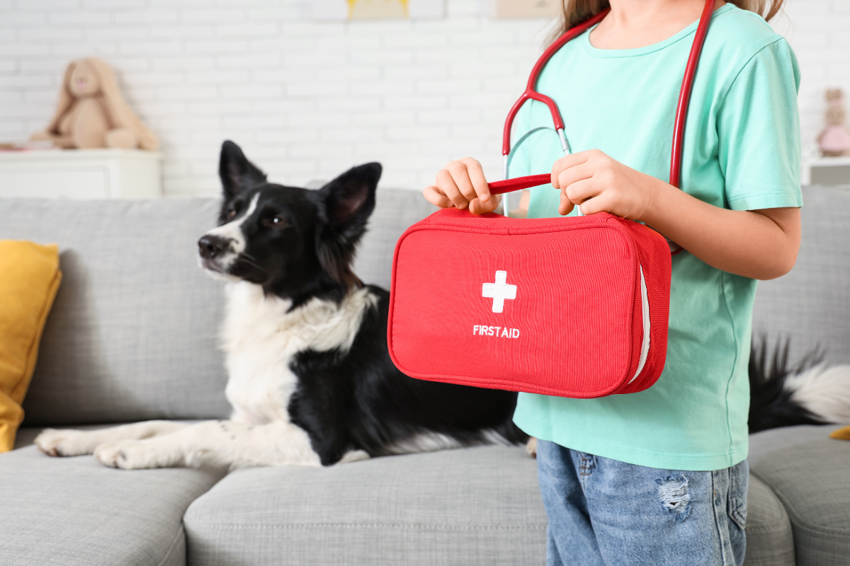 Essential Guide to Pet First Aid: Preparing for Your Furry Friend's Safety