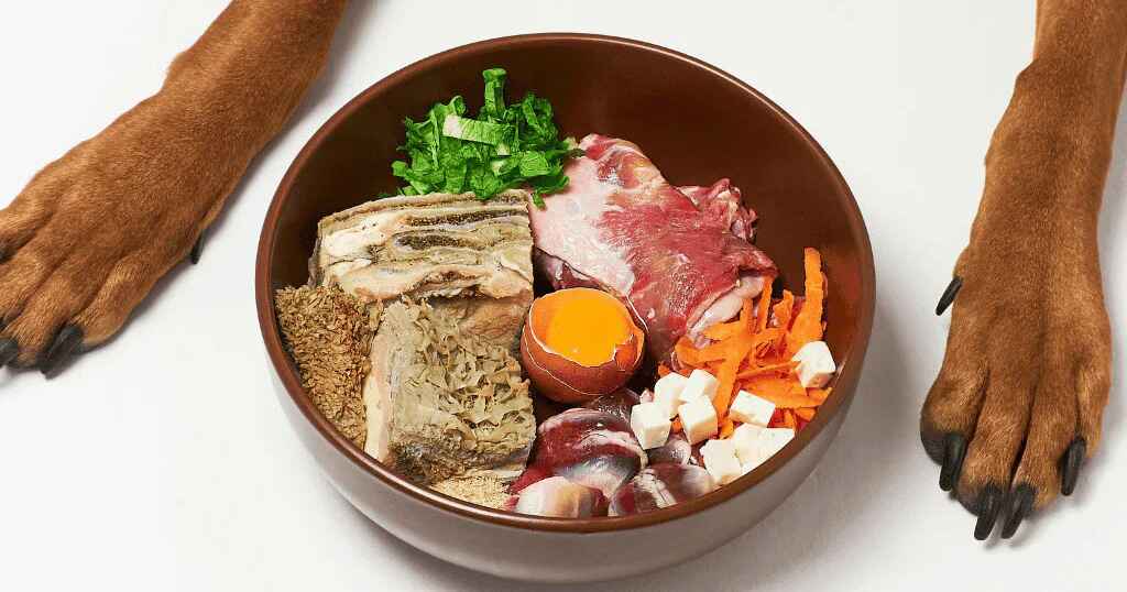 Transform Your Dog's Health with the Ultimate Guide to Raw Diets