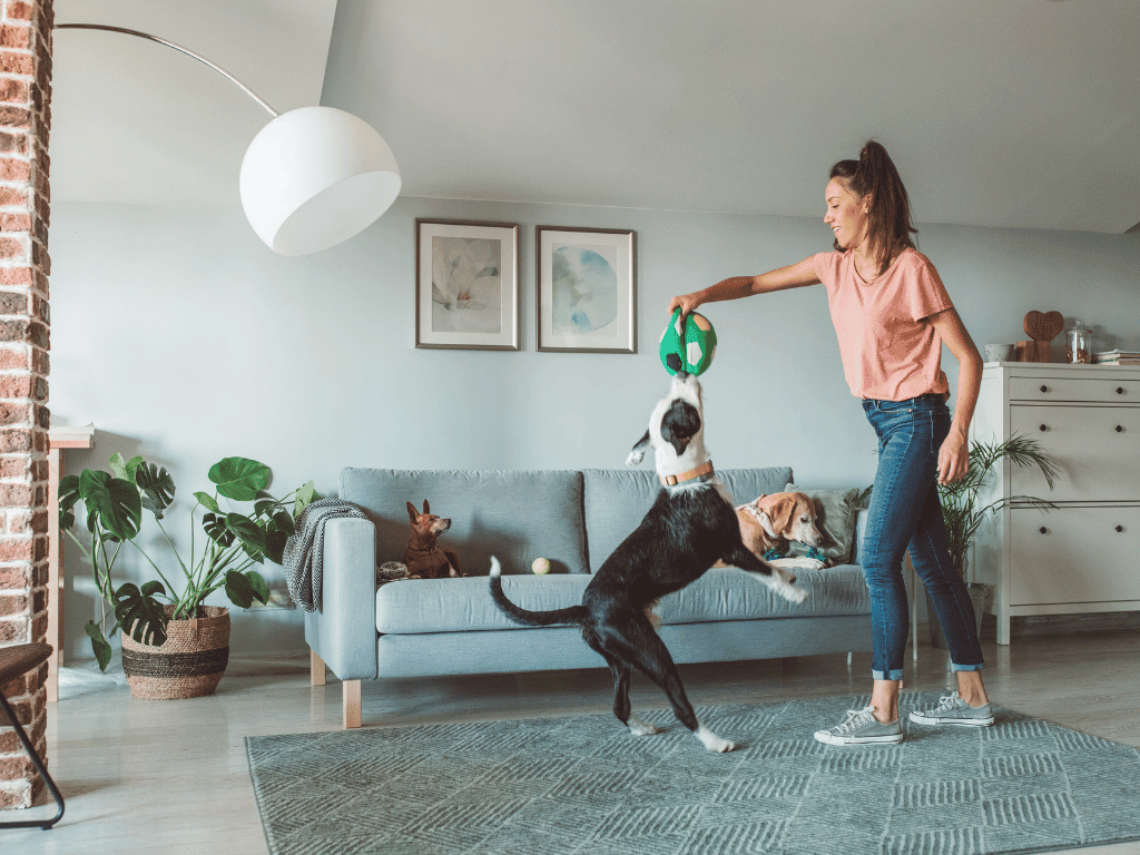 Your furry friends deserve the best care. Learn the natural ways to deworm your pet with our helpful guide. Keep them healthy and happy with this must-read.