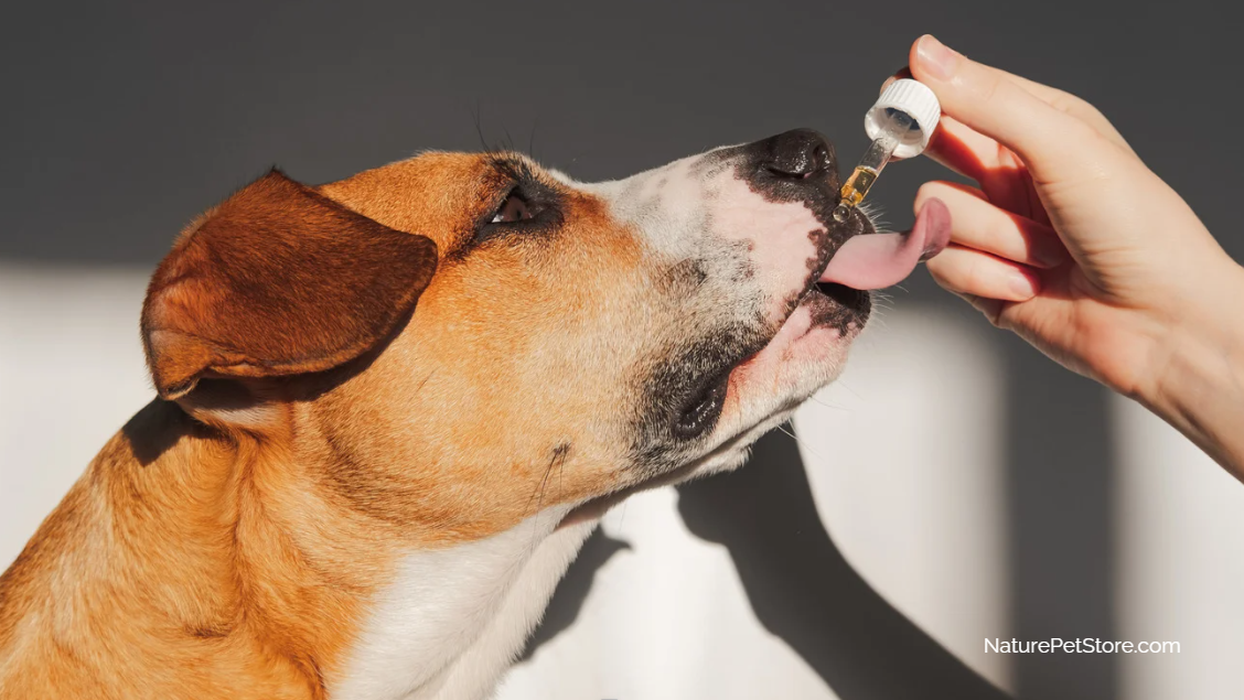 New to Tinctures - A Step-by-step Guide