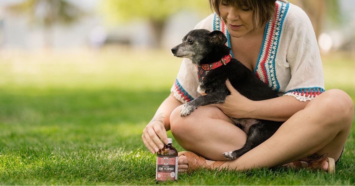 Explore our insightful blog for tips on enhancing your pet's joint health. Learn valuable strategies for happier cats and dogs.