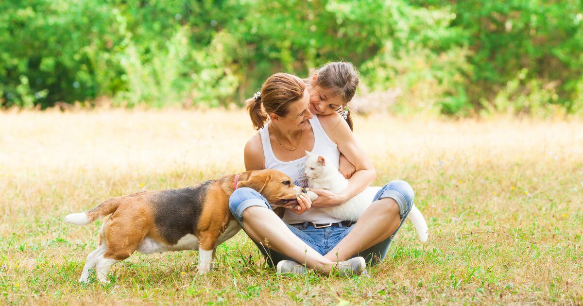 A mom sitting in a grassy field with a white cat in her lap and a Beagle dog leaning over her knee while her daughter
