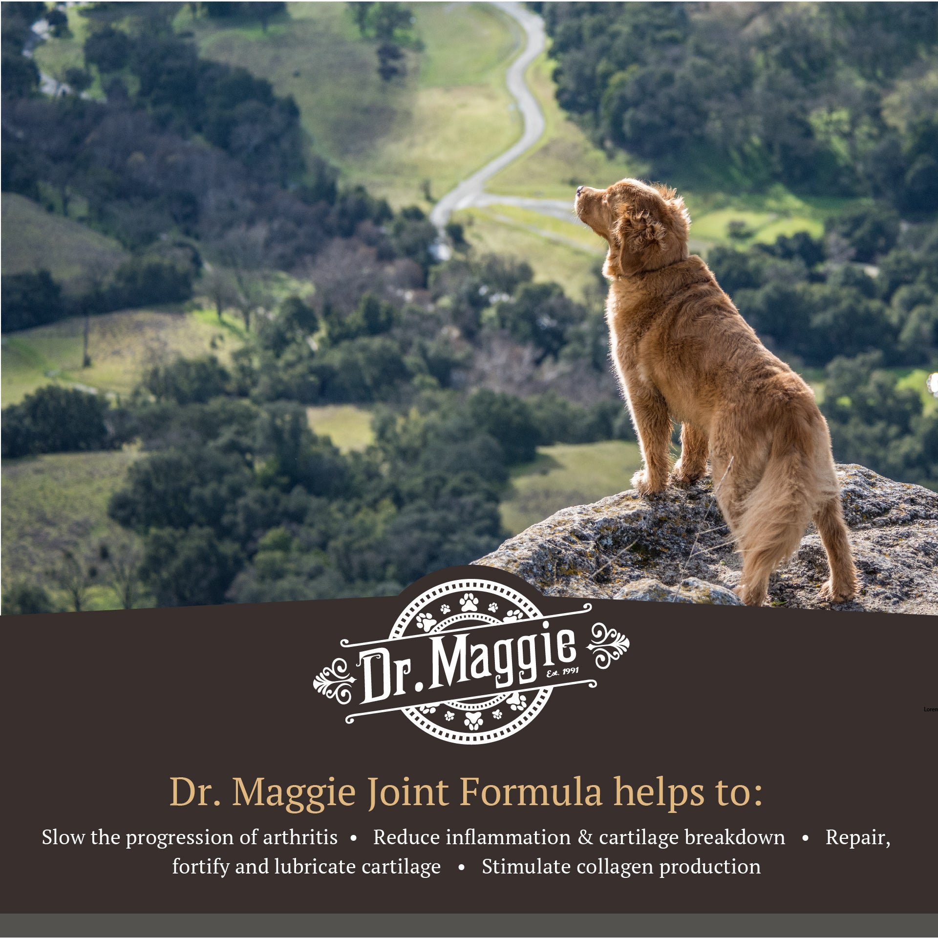 Dr. Maggie Joint Formula - Traditional Joint Supplement