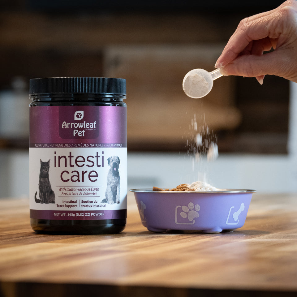 Feline Herbal Health Sector: The growing consumer demand for natural, chemical-free intestinal and digestive remedies for cats.
