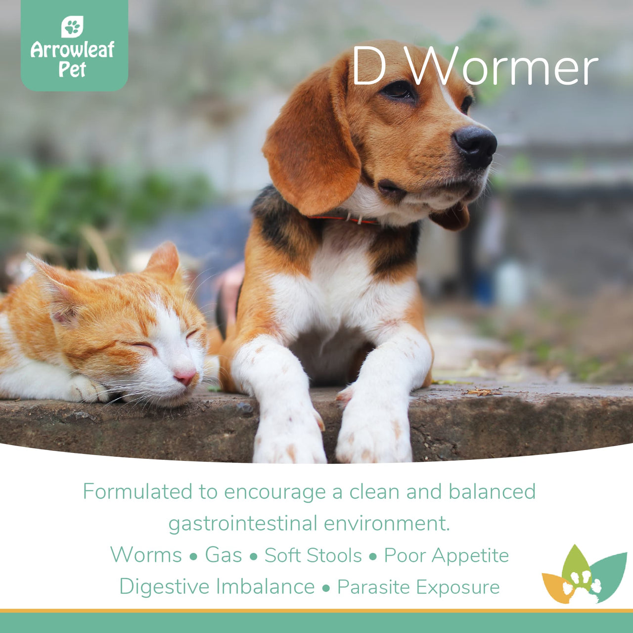 Arrowleaf Pet D Wormer promotional image featuring a Beagle and an orange tabby cat resting together, highlighting support for a clean and balanced gastrointestinal environment, worms, gas, soft stools, digestive imbalance, and parasite exposure.