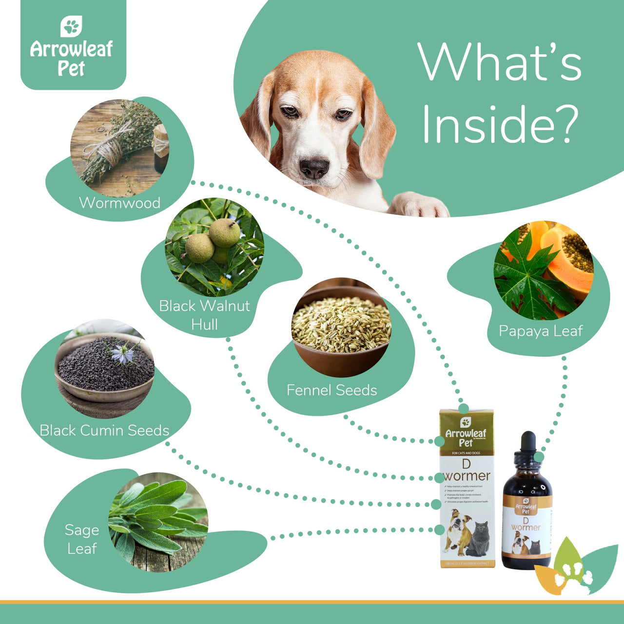 Arrowleaf Pet D Wormer ingredients infographic with a Beagle and labeled natural ingredients including wormwood, black walnut hull, black cumin seeds, fennel seeds, papaya leaf, and sage leaf.