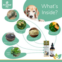 Arrowleaf Pet D Wormer ingredients infographic with a Beagle and labeled natural ingredients including wormwood, black walnut hull, black cumin seeds, fennel seeds, papaya leaf, and sage leaf.