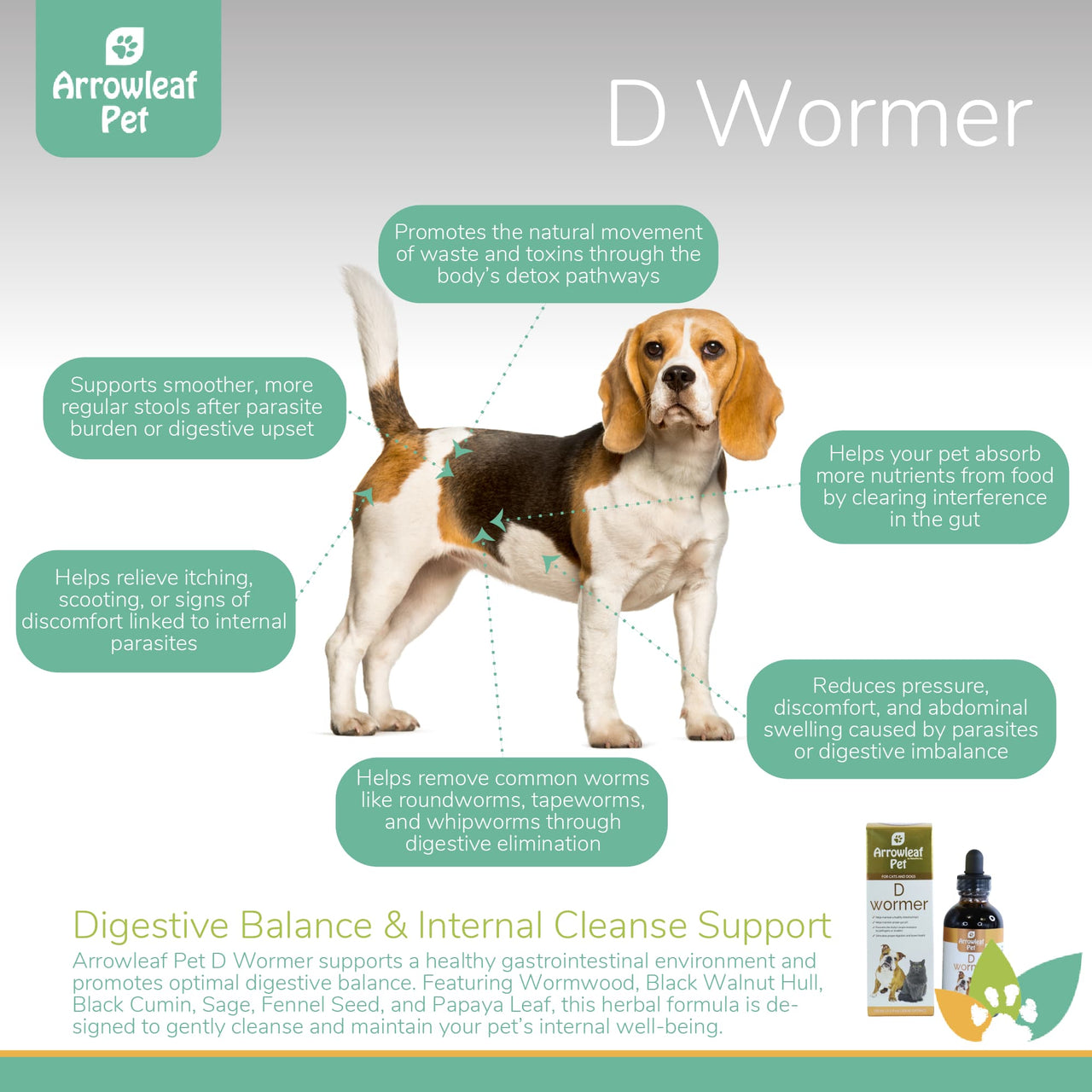 Arrowleaf Pet D Wormer infographic featuring a Beagle with labeled benefits including smoother stools, relief from parasite-related discomfort, improved nutrient absorption, natural digestive elimination, and support for removing common intestinal worms.