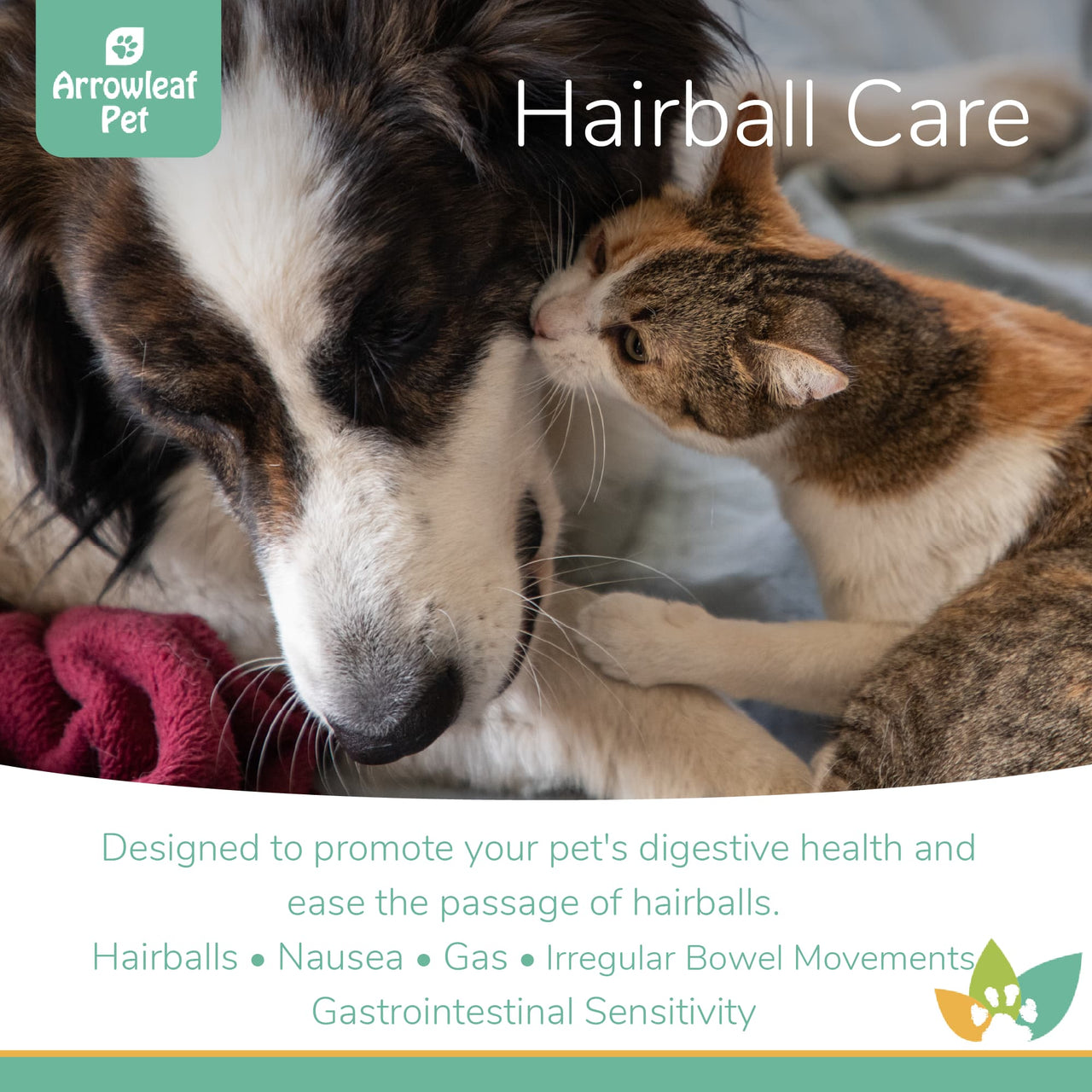 Arrowleaf Pet Hairball Care promotional image featuring a Border Collie and a calico cat cuddling, highlighting support for hairballs, nausea, gas, irregular bowel movements, and gastrointestinal sensitivity.