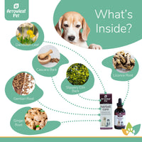 Arrowleaf Pet Urinary Care ingredients infographic with a Beagle and labeled natural ingredients including dandelion leaf and root, echinacea, couch grass root, wild carrot, horsetail, marshmallow root, ginger root, corn silk, and boswellia powder.