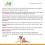 Arrowleaf Pet Immuno Boost (NaturPet in Canada) - Full System Support with Ashwagandha and Turmeric