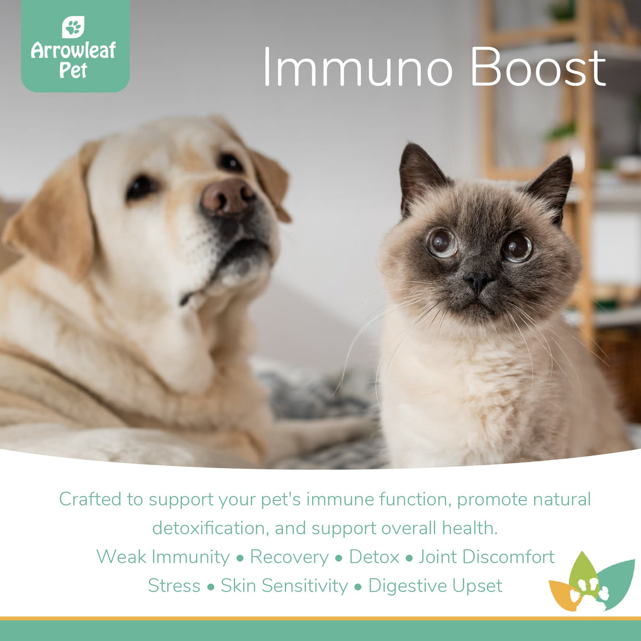 Arrowleaf Pet Immuno Boost promotional image featuring a Labrador and a Siamese cat, highlighting immune, detox, and wellness benefits for pets.