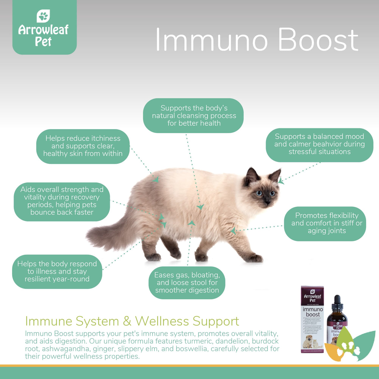 Arrowleaf Pet Immuno Boost infographic featuring a Siamese cat with labeled benefits for immune health, skin wellness, mood balance, joint comfort, and digestive support.