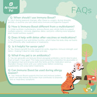 Arrowleaf Pet Immuno Boost FAQ infographic with illustrated cat mailing a letter. Text answers common questions about usage, benefits, detox support, senior pets, antibiotics, and allergy season.