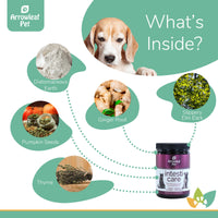 Arrowleaf Pet Intesti Care ingredients infographic with a Beagle and labeled natural ingredients including diatomaceous earth, pumpkin seed, ginger root, slippery elm bark, and thyme.
