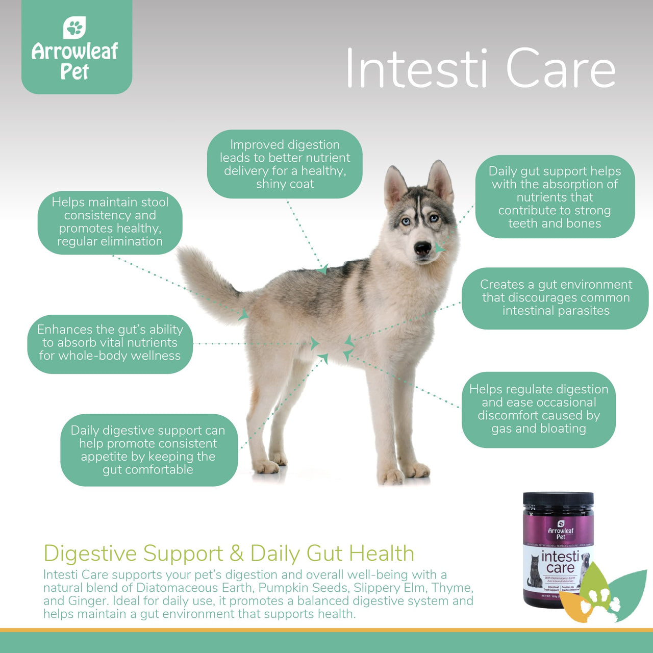 Arrowleaf Pet Intesti Care infographic featuring a Husky with labeled benefits including digestion, gut health, nutrient absorption, and parasite deterrence benefits.