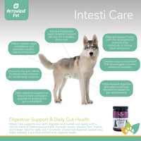 Arrowleaf Pet Intesti Care infographic featuring a Husky with labeled benefits including digestion, gut health, nutrient absorption, and parasite deterrence benefits.