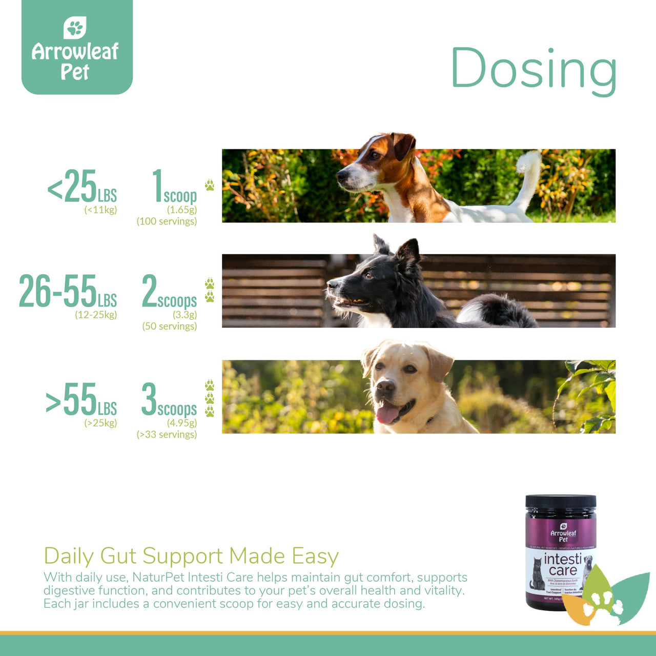 Arrowleaf Pet Intesti Care dosing chart with dogs of various sizes and dosage ranges from 1 scoop to 3 scoops by weight.