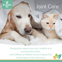 Arrowleaf Pet Joint Care promotional image featuring a senior Golden Retriever and a cream-coloured cat cuddling under a blanket, highlighting support for mobility, joint stiffness, inflammation, aging-related discomfort, and slow recovery.
