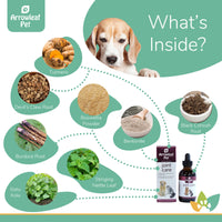 Arrowleaf Pet Joint Care ingredients infographic with a Beagle and labeled natural ingredients including turmeric, devil’s claw root, boswellia powder, black cohosh root, burdock root, bentonite, stinging nettle leaf, and gotu kola.