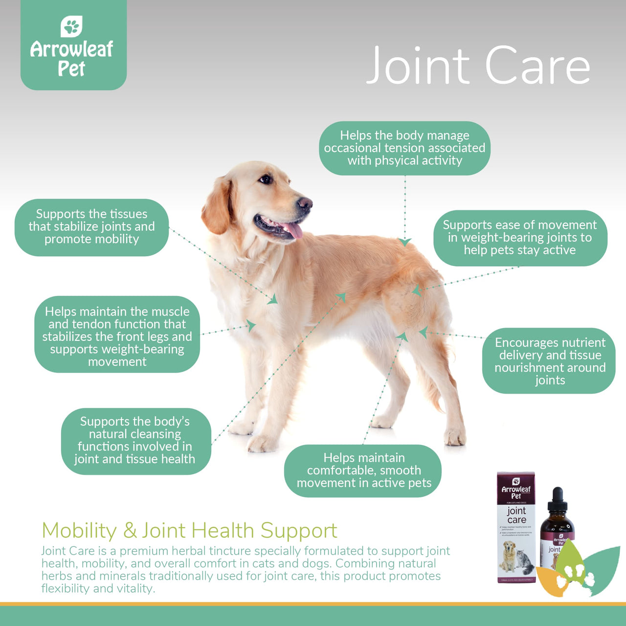 Arrowleaf Pet Joint Care infographic featuring a Golden Retriever with labeled benefits including joint stability support, improved mobility, muscle and tendon function, nutrient delivery around joints, and smooth, comfortable movement, alongside the product bottle and box.