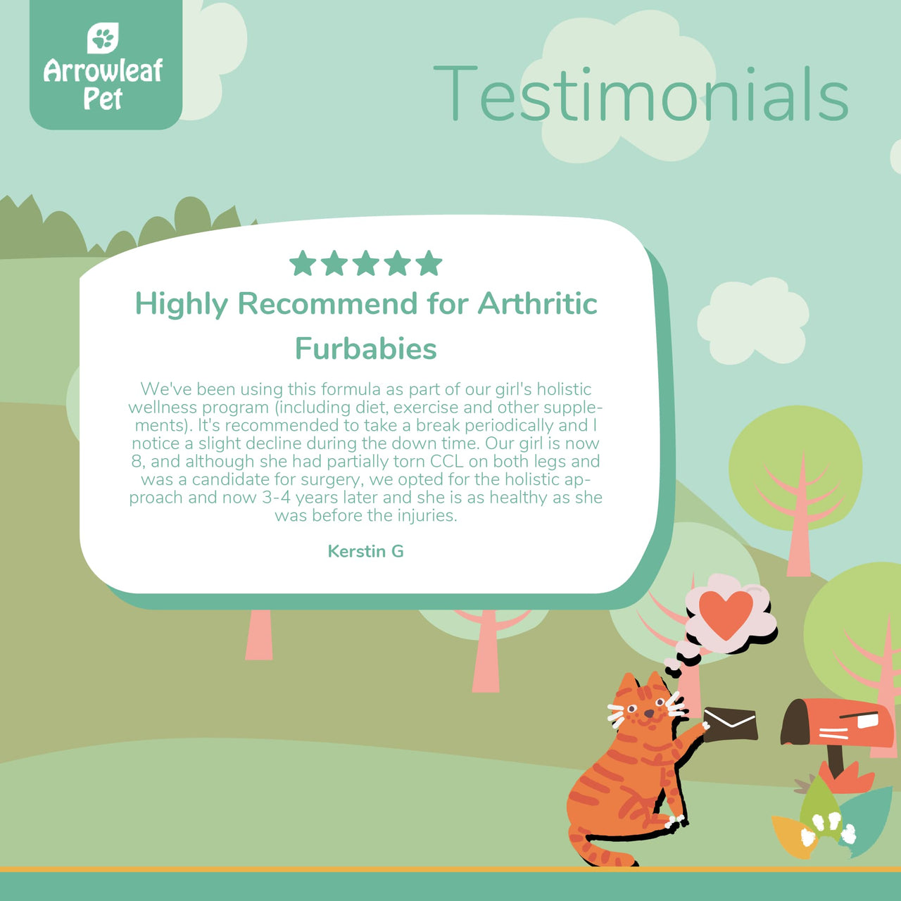 Arrowleaf Pet Joint Care testimonial infographic with an illustrated orange cat mailing a letter, featuring a five-star customer review describing improved mobility, holistic wellness support, and long-term joint comfort in a senior dog.