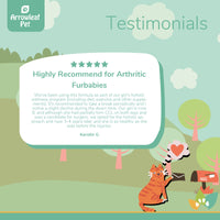 Arrowleaf Pet Joint Care testimonial infographic with an illustrated orange cat mailing a letter, featuring a five-star customer review describing improved mobility, holistic wellness support, and long-term joint comfort in a senior dog.