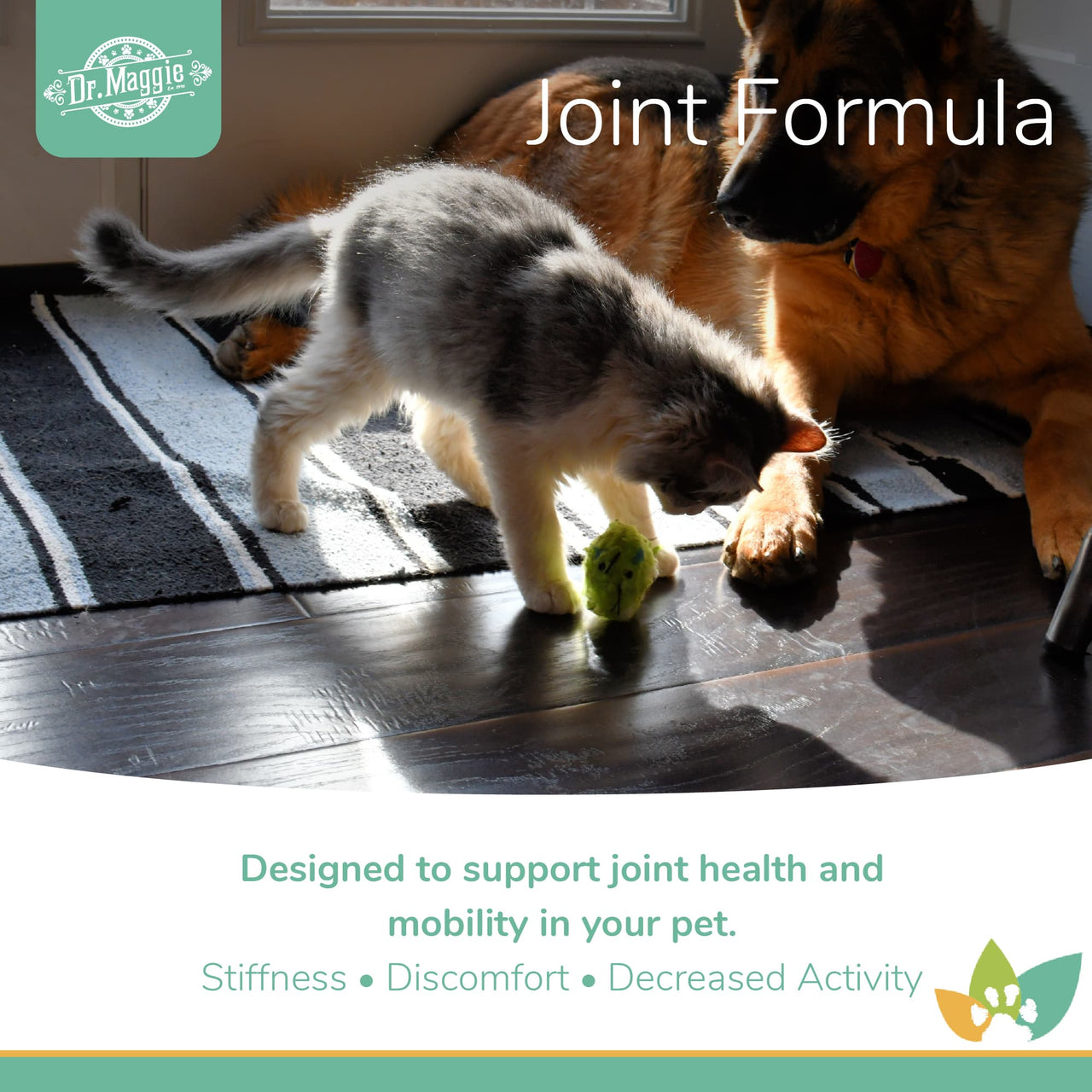 Dr. Maggie Joint Formula promotional image featuring a German Shepherd and a grey cat playing together on a rug, highlighting support for joint health, mobility, and issues like stiffness, discomfort, slowed movement, and aging-related joint changes.