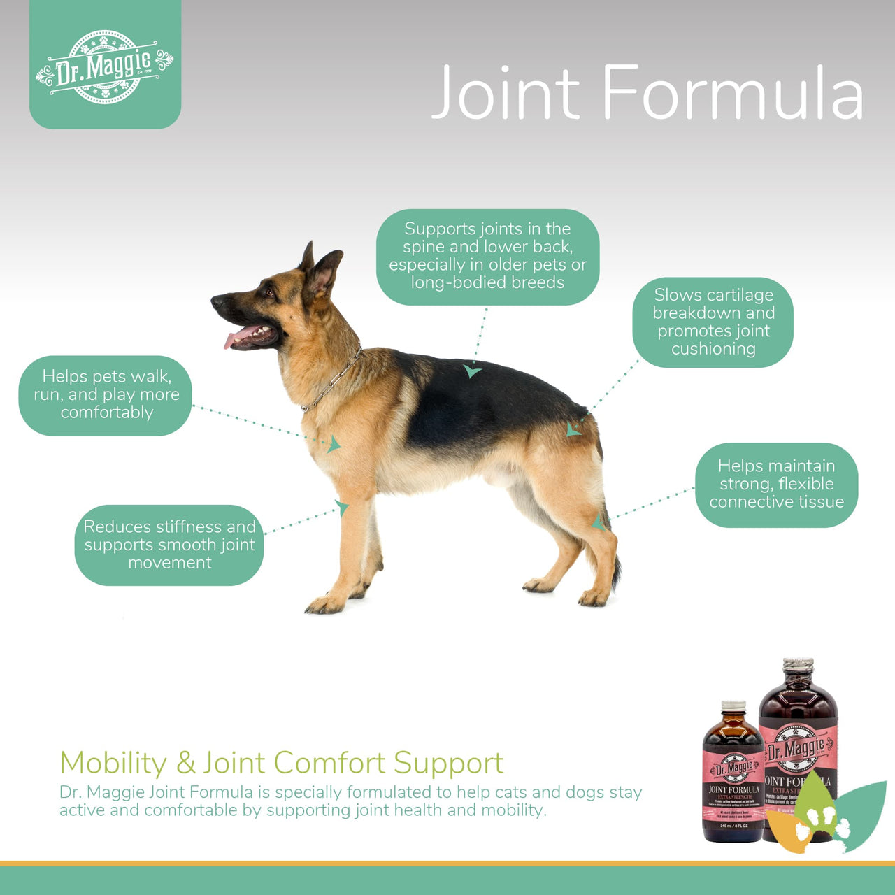 Dr. Maggie Joint Formula infographic featuring a German Shepherd dog with labeled benefits including support for joints in the spine and lower back, reduced stiffness and smoother joint movement, improved joint cushioning, and strong, flexible connective tissue.