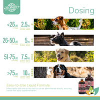Dr. Maggie Joint Formula dosing chart with dogs of various sizes and dosage ranges from 2.5 mL to 10 mL by weight.
