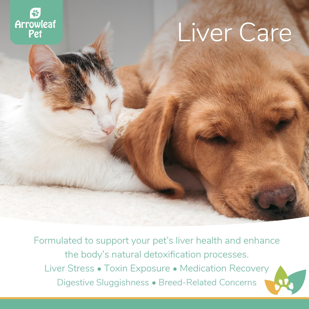 Arrowleaf Pet Liver Care promotional image featuring a sleeping cat and dog, highlighting benefits for liver stress, toxin exposure, medication recovery, digestive sluggishness, and breed-related concerns.