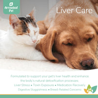 Arrowleaf Pet Liver Care promotional image featuring a sleeping cat and dog, highlighting benefits for liver stress, toxin exposure, medication recovery, digestive sluggishness, and breed-related concerns.