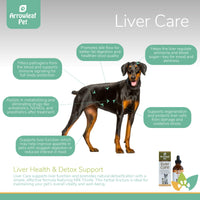 Arrowleaf Pet Liver Care infographic featuring a Doberman with labeled benefits including detox support, bile flow, appetite improvement, antioxidant protection, and drug metabolism.