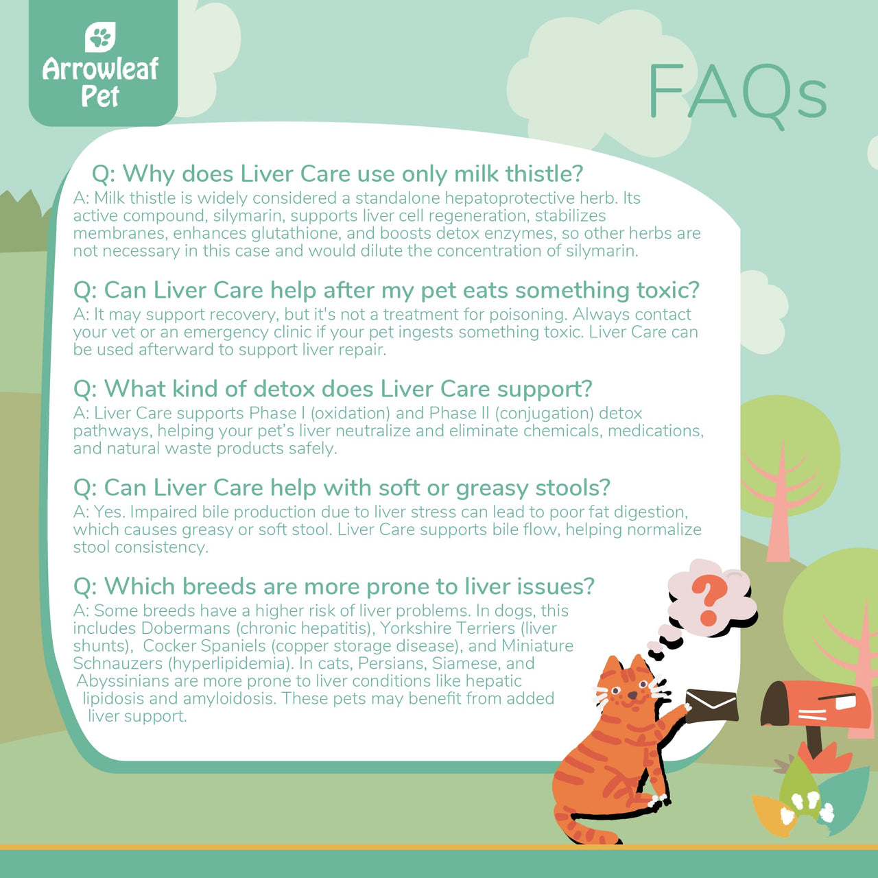 Arrowleaf Pet Liver Care FAQ infographic with illustrated cat mailing a letter. Text answers common questions about milk thistle, detox support, soft stool, toxicity recovery, and liver-prone breeds.