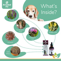 Arrowleaf Pet Lung Care ingredients infographic with a Beagle and labeled natural ingredients including hyssop, horseradish root, lungwort leaf, mullein leaf, aniseed, and Irish moss.