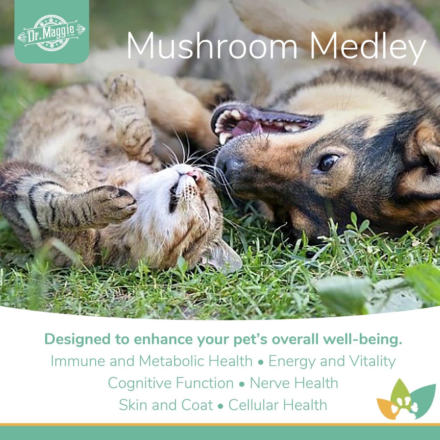 Dr. Maggie Mushroom Medley graphic with a dog and cat playing on grass. Text reads: 'Designed to enhance your pet’s overall well-being' with benefits including immune health, energy, cognitive function, nerve and skin health, and cellular wellness.