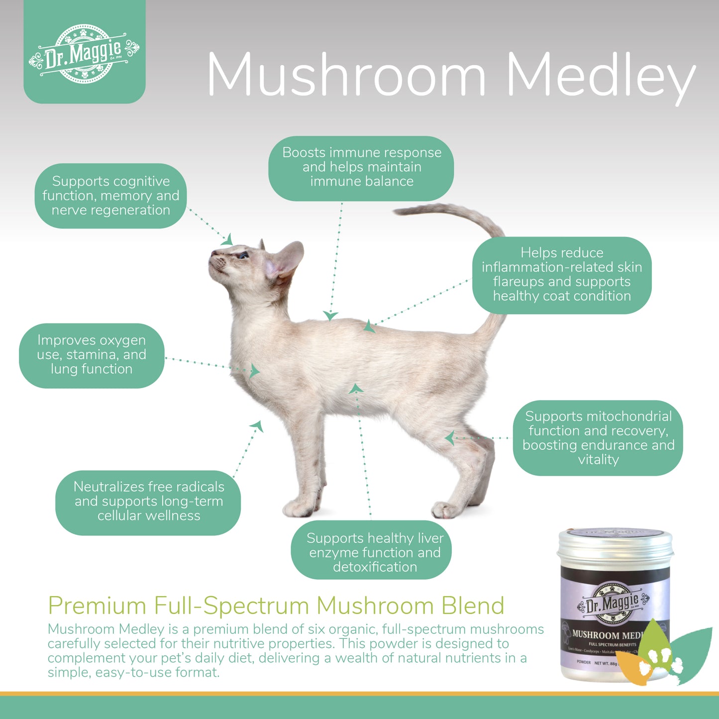 Dr. Maggie Mushroom Medley graphic with a cat illustration and arrows pointing to benefits like cognitive function, immune balance, skin support, lung function, stamina, liver detox, and cellular health.