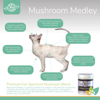 Dr. Maggie Mushroom Medley infographic featuring a Siamese cat with labeled benefits including cognitive support, improved oxygen use and stamina, antioxidant protection, healthy liver function, immune balance, and support for skin and coat health.