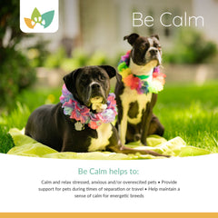 NaturPet Be Calm Product Info 2