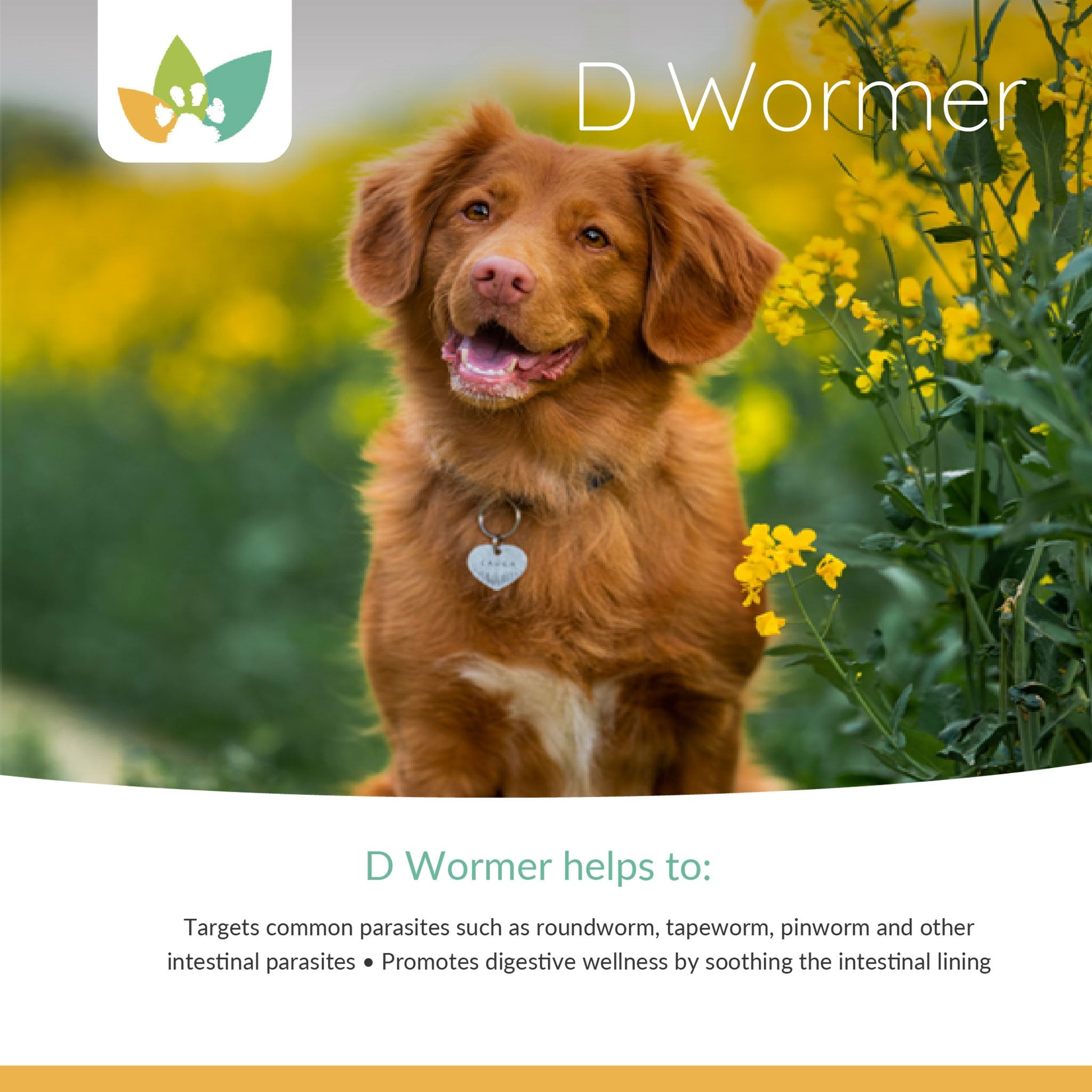 NaturPet D Wormer Product Info 2