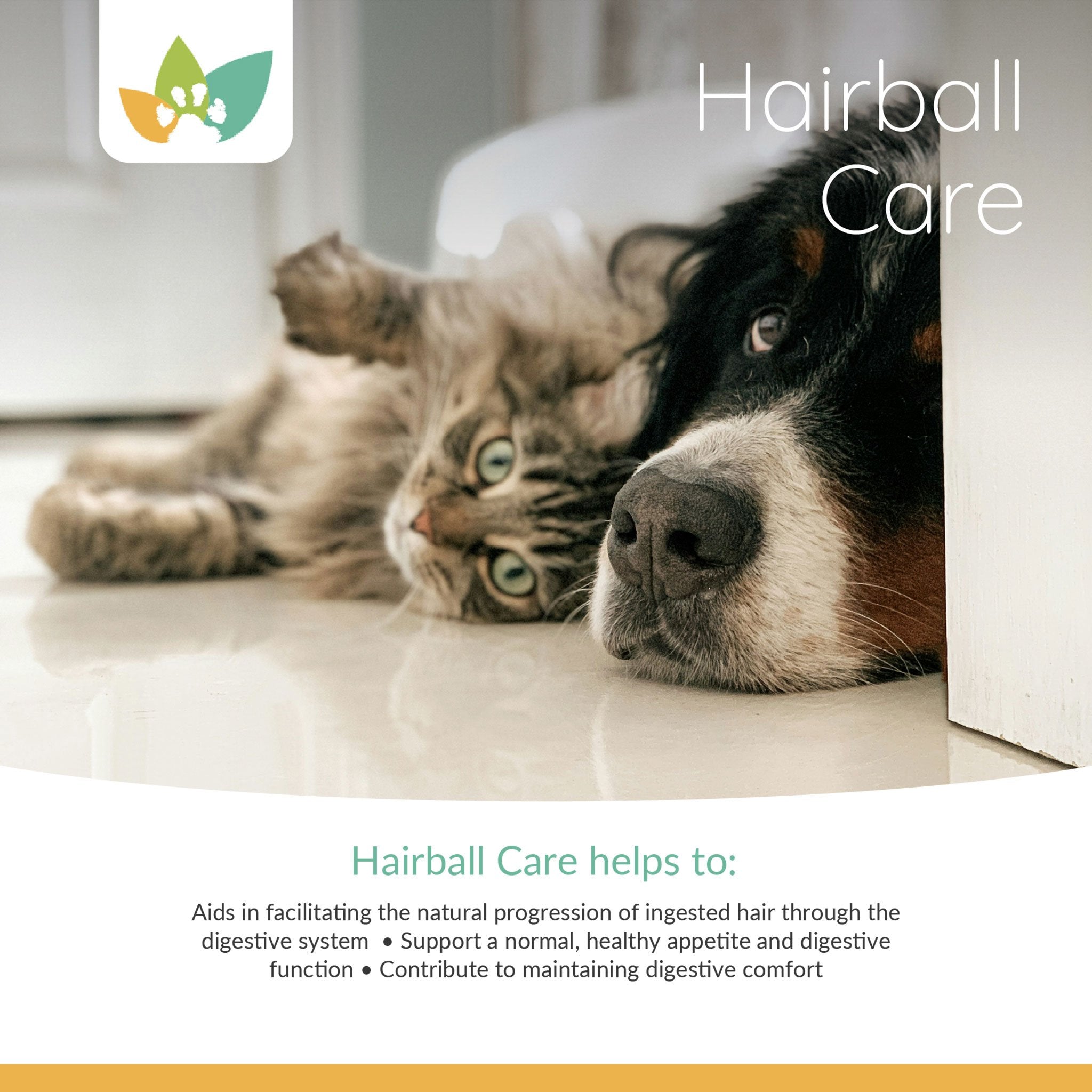 Arrowleaf Pet Hairball Care Product Info 2